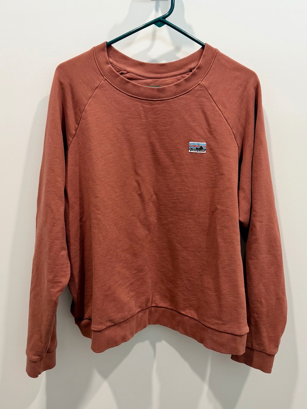 Patagonia Women's Maroonish / Rust Crewneck Sweatshirt